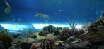 Океанариум «Подводный мир» 