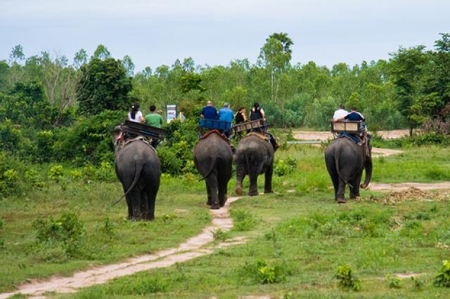 Деревня слонов в Паттайе