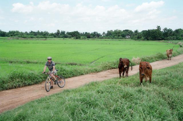 По Таиланду на велосипеде