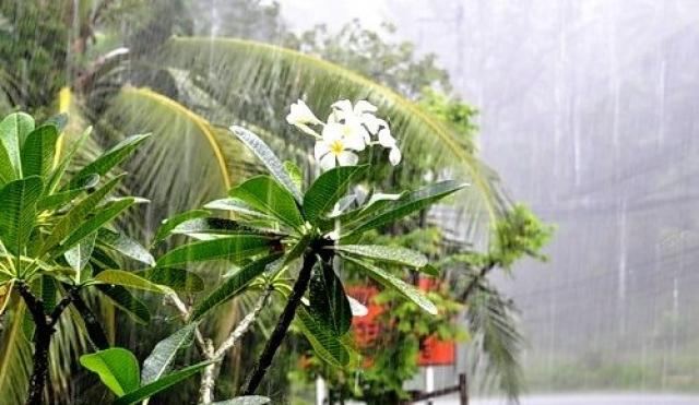 Ливневые дожди в Тайланде