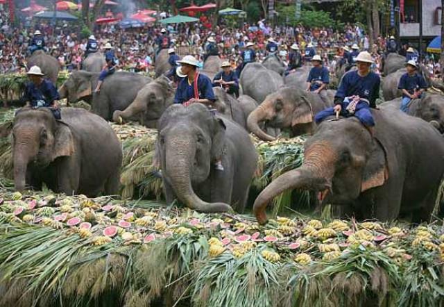 слоновий праздник