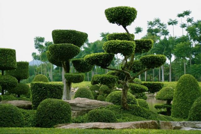тропического сада "Nong Nooch"