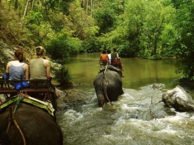 Экскурсия в деревню слонов. Паттайя
