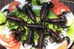Экзотические блюда Таиланда из насекомых