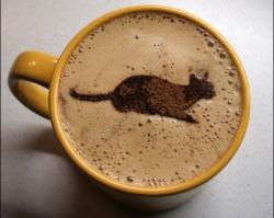 Самый дорогой кофе в мире "Черный кот"