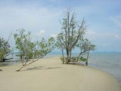 Самый длинный пляж на острове Пхукет
