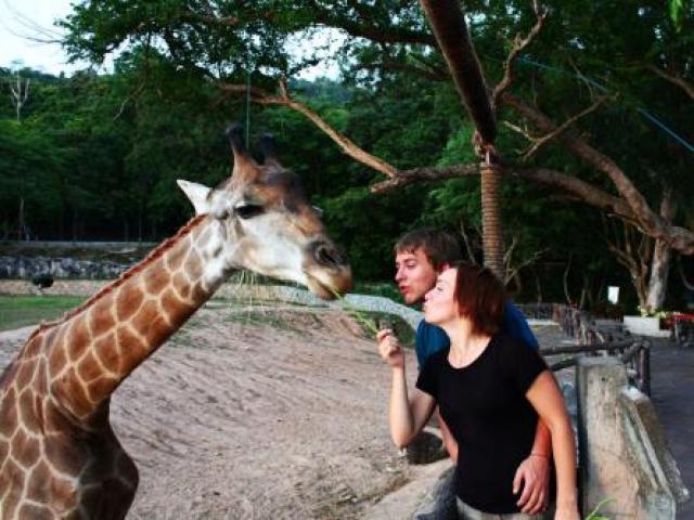 Открытый зоопарк Кхао Кео 
