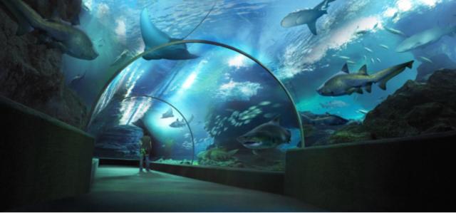 Аквариум Siam Ocean World