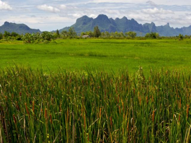 Национальный парк Кхао Сам Рой Йод 